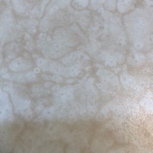 Meet your Posher, Sheila